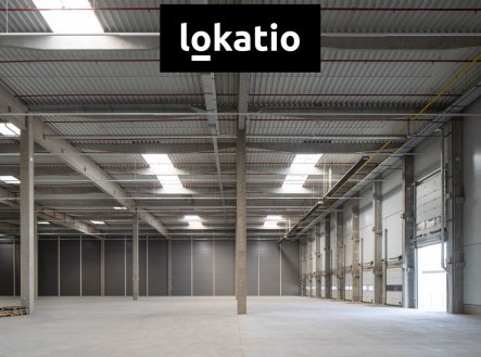 Pronájem komerčního objektu, sklad, 2 600 m²