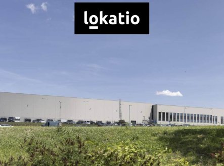 Pronájem komerčního objektu, výroba, 10 173 m²