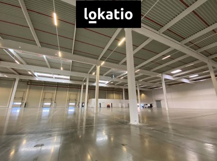 Pronájem komerčního objektu, sklad, 11 400 m²