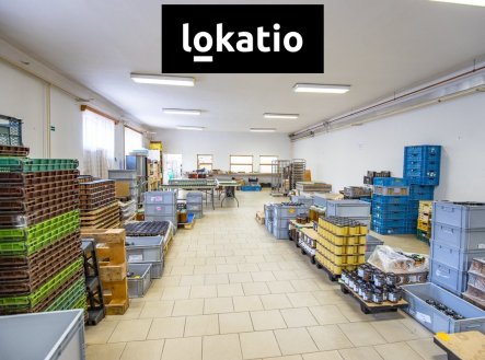Pronájem komerčního objektu, sklad, 321 m²