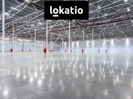 Pronájem komerčního objektu, sklad, 19 747 m²
