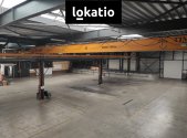 Pronájem komerčního objektu, sklad, 4 135 m²