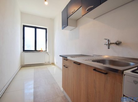 Pronájem bytu, 1+1, 42 m²