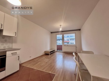 Pronájem bytu, 1+kk, 36 m²