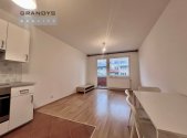 Pronájem bytu, 1+kk, 36 m²