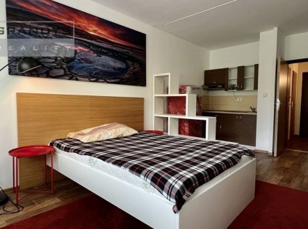 Pronájem bytu, 1+kk, 29 m²