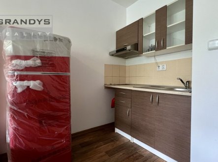 Pronájem bytu, 1+kk, 29 m²