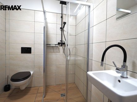 Prodej domu/vily, 450 m²