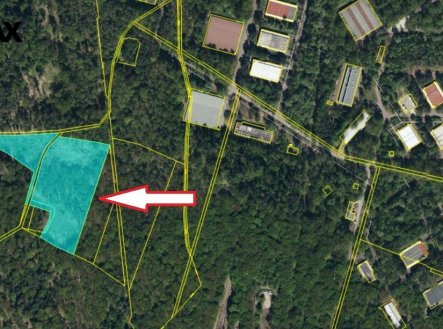 Prodej pozemku, les, 15 753 m²