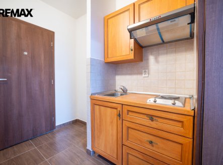 Pronájem bytu, 1+kk, 20 m²