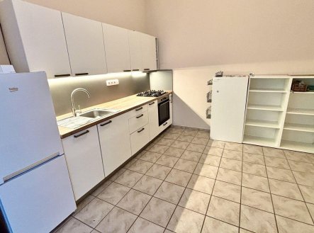 Pronájem bytu, 1+1, 53 m²