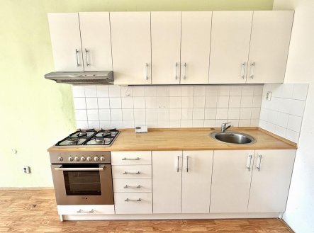 Pronájem bytu, 1+1, 61 m²