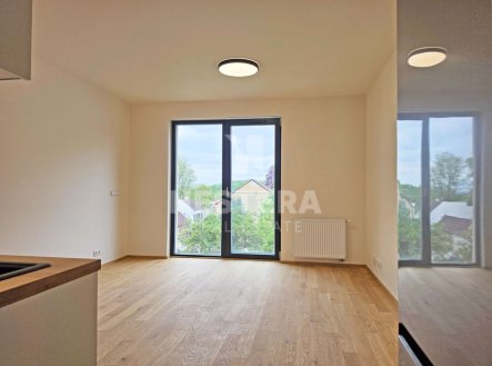 Pronájem bytu, 1+kk, 32 m²