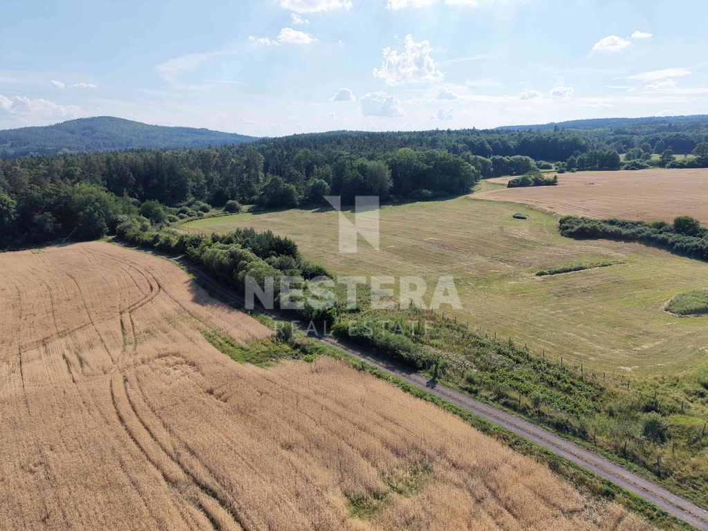dji-20260713165110-0011-d.jpg