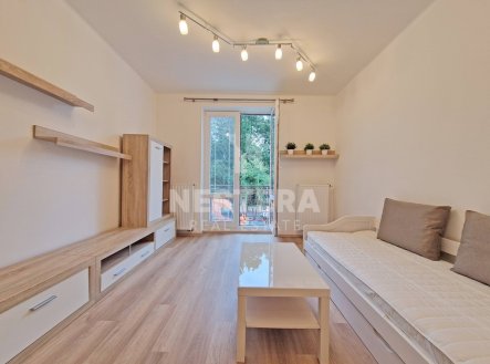 Pronájem bytu, 2+1, 46 m²