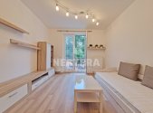 Pronájem bytu, 2+1, 46 m²