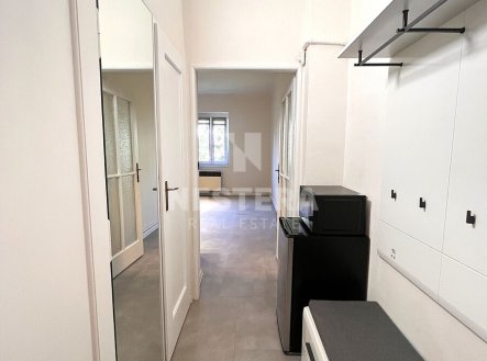 Pronájem bytu, 1+kk, 28 m²