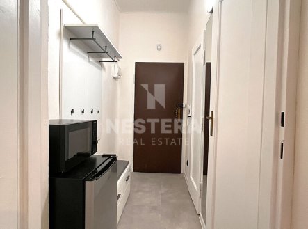 Pronájem bytu, 1+kk, 28 m²