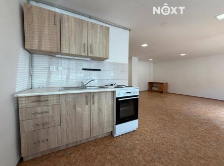Pronájem bytu, 1+kk, 55 m²