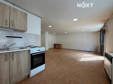 Pronájem bytu, 1+kk, 55 m²