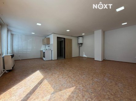 Pronájem bytu, 1+kk, 55 m²