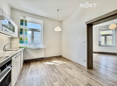 Pronájem bytu, 1+1, 55 m²
