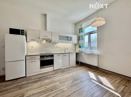 Pronájem bytu, 1+1, 55 m²