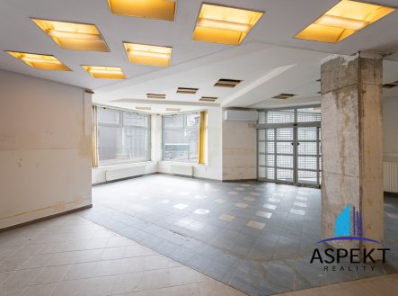 Pronájem obchodní prostory, 224 m²