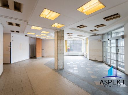 Pronájem obchodní prostory, 224 m²