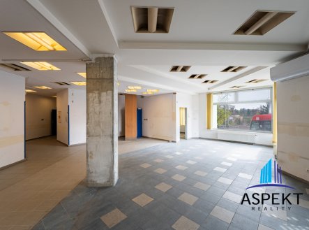 Pronájem obchodní prostory, 224 m²
