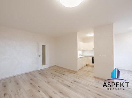 Pronájem bytu, 1+kk, 52 m²