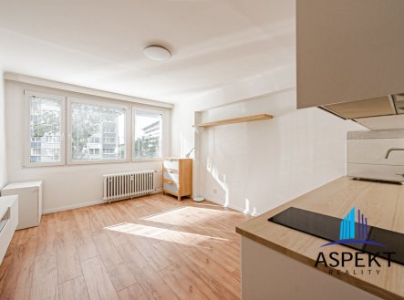 Pronájem bytu, 1+kk, 24 m²