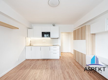 Pronájem bytu, 1+kk, 24 m²