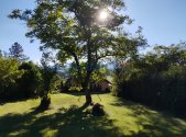 Prodej - pozemek pro bydlení, 705 m²