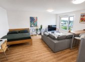 Prodej bytu, 1+kk, 45 m²