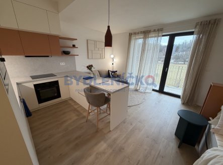 Prodej bytu, 2+kk, 43 m²