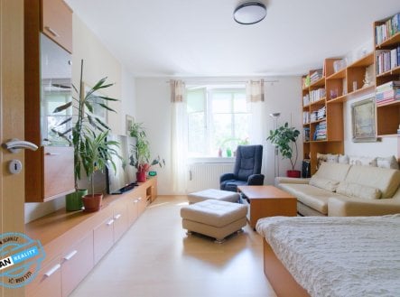 Prodej bytu, 1+1, 51 m²