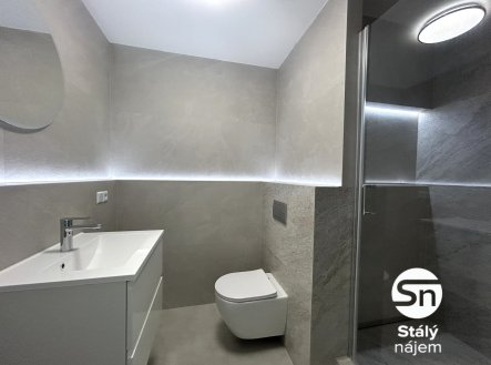 Pronájem bytu, 2+kk, 49 m² obrázek