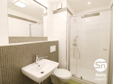 Pronájem bytu, 1+kk, 27 m²