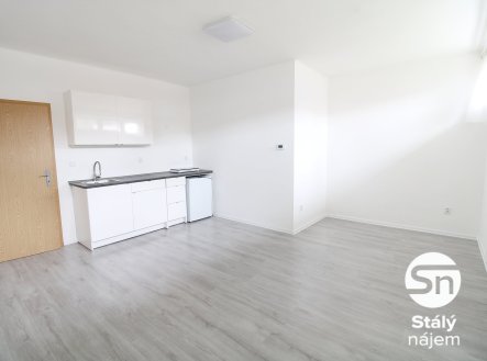 IMG_7675 | Pronájem bytu, 1+kk, 31 m²