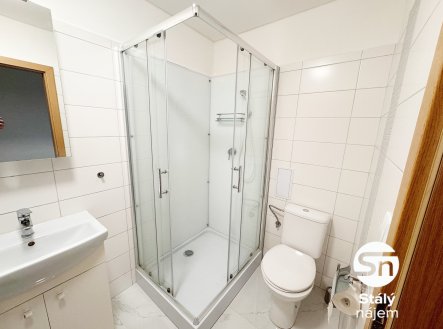 Pronájem bytu, 1+kk, 31 m²