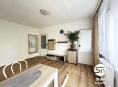 Pronájem bytu, 1+1, 27 m²