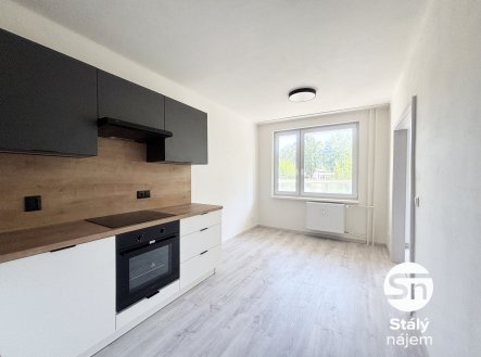 Pronájem bytu, 1+1, 43 m²