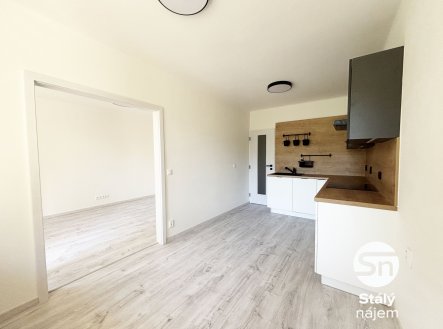 Pronájem bytu, 1+1, 43 m²