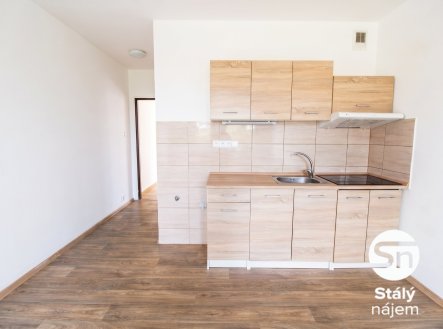 Pronájem bytu, 1+kk, 31 m²