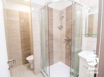 Pronájem bytu, 1+kk, 31 m²