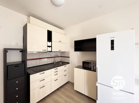 Pronájem bytu, 1+kk, 71 m²