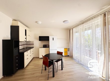 Pronájem bytu, 1+kk, 71 m²