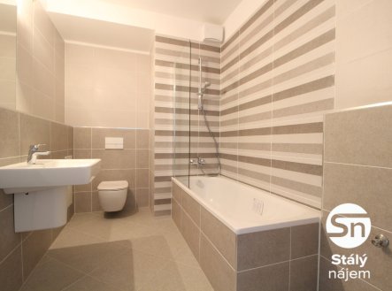 Pronájem bytu, 1+kk, 60 m²