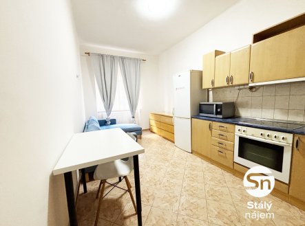 Pronájem bytu, 1+1, 48 m²